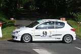 RALLYE DU VAL DADOU 2014 216