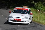 RALLYE DU VAL DADOU 2014 244