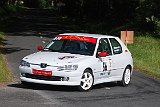 RALLYE DU VAL DADOU 2014 245