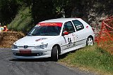 RALLYE DU VAL DADOU 2014 643