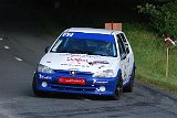 RALLYE DU VAL DADOU 2014 274