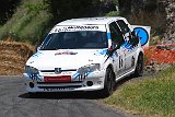 RALLYE DU VAL DADOU 2014 686