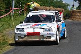 RALLYE DU VAL DADOU 2014 459