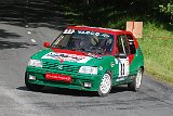 RALLYE DU VAL DADOU 2014 359