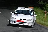 RALLYE DU VAL DADOU 2014 379