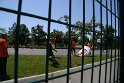 IMG_3241